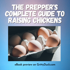 Eggs, A High Nutrition Source: The Prepper's Complete Guide to Raising Chickens